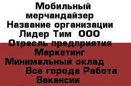 Мобильный мерчандайзер › Название организации ­ Лидер Тим, ООО › Отрасль предприятия ­ Маркетинг › Минимальный оклад ­ 22 500 - Все города Работа » Вакансии   . Красноярский край,Железногорск г.